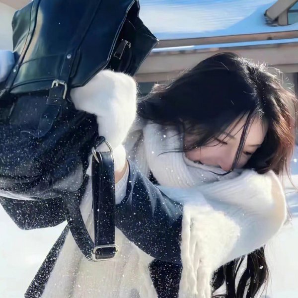 开放的美国学府